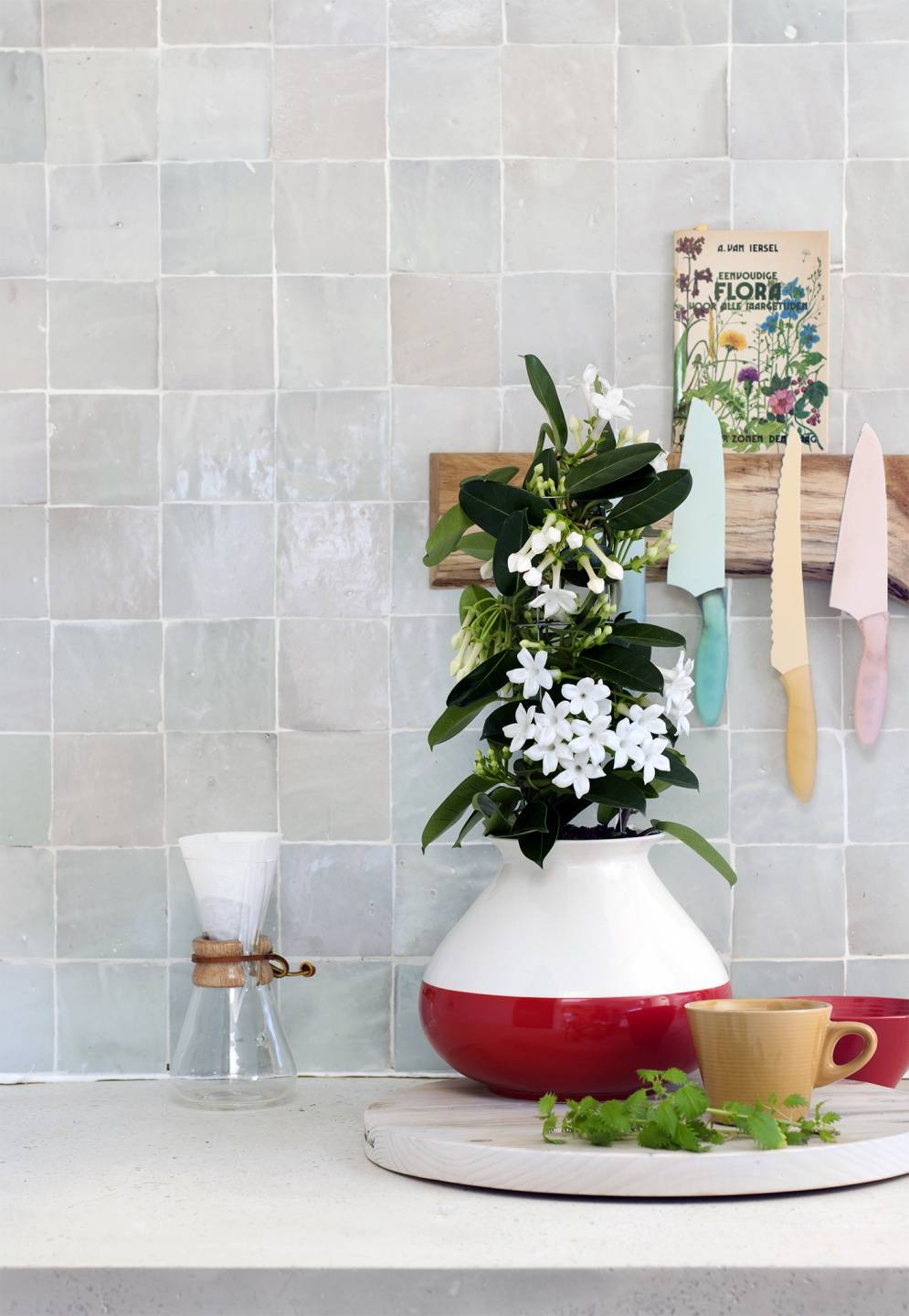 None - 8fb37002-788f-48b4-b9ed-f57abff2d6fb