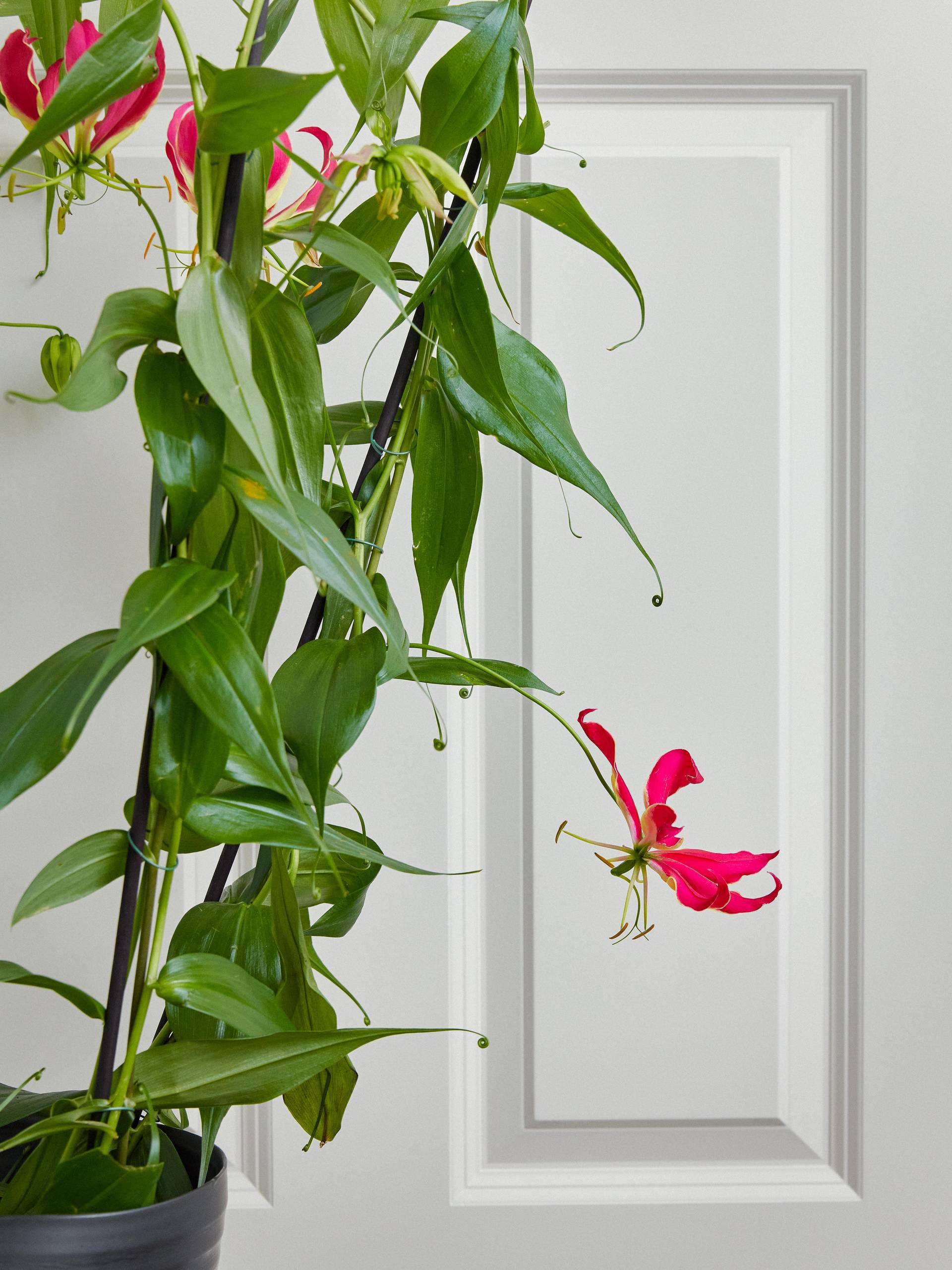 None - 9001443f-8dac-47bb-8685-69a6ac849939