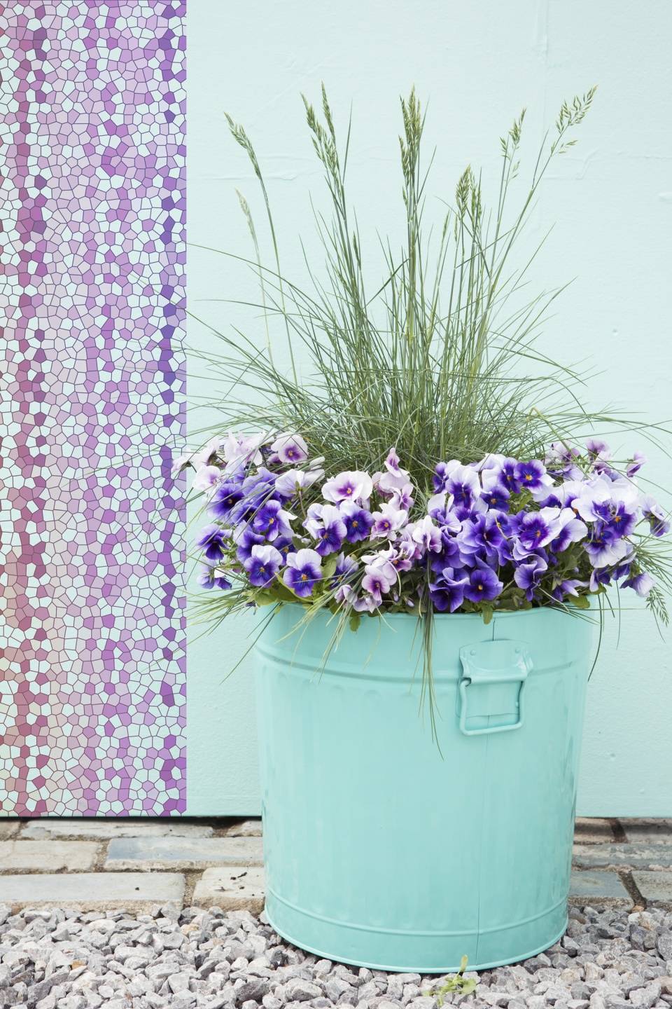 Paarse viooltjes met siergras