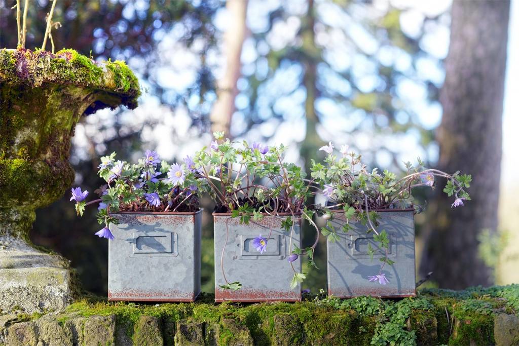 None - a0987368-cc5a-47ab-9dd0-b724427b7438