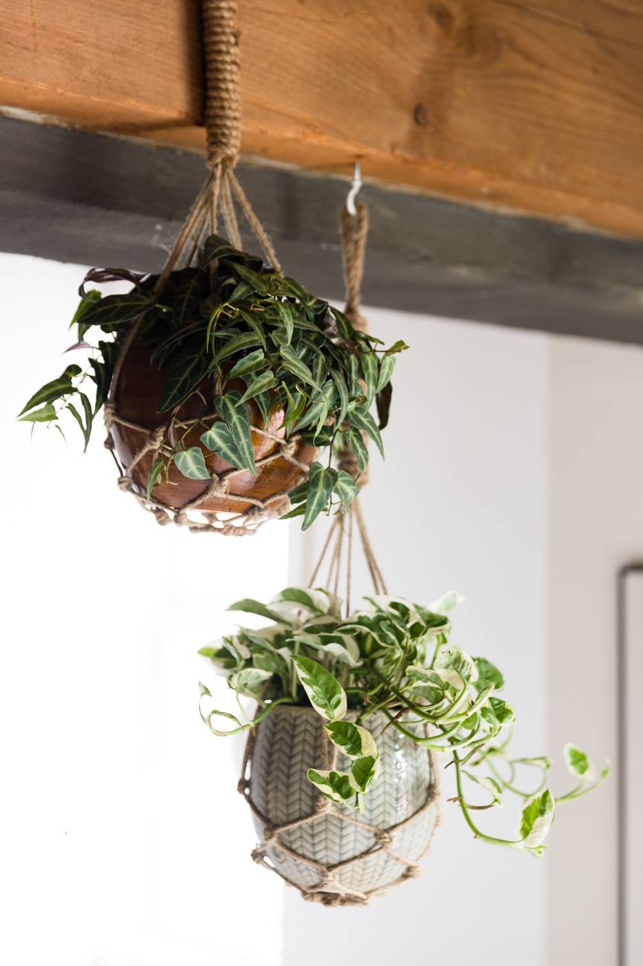 None - a1009675-d9ca-4535-8b2b-968bbbfedd69