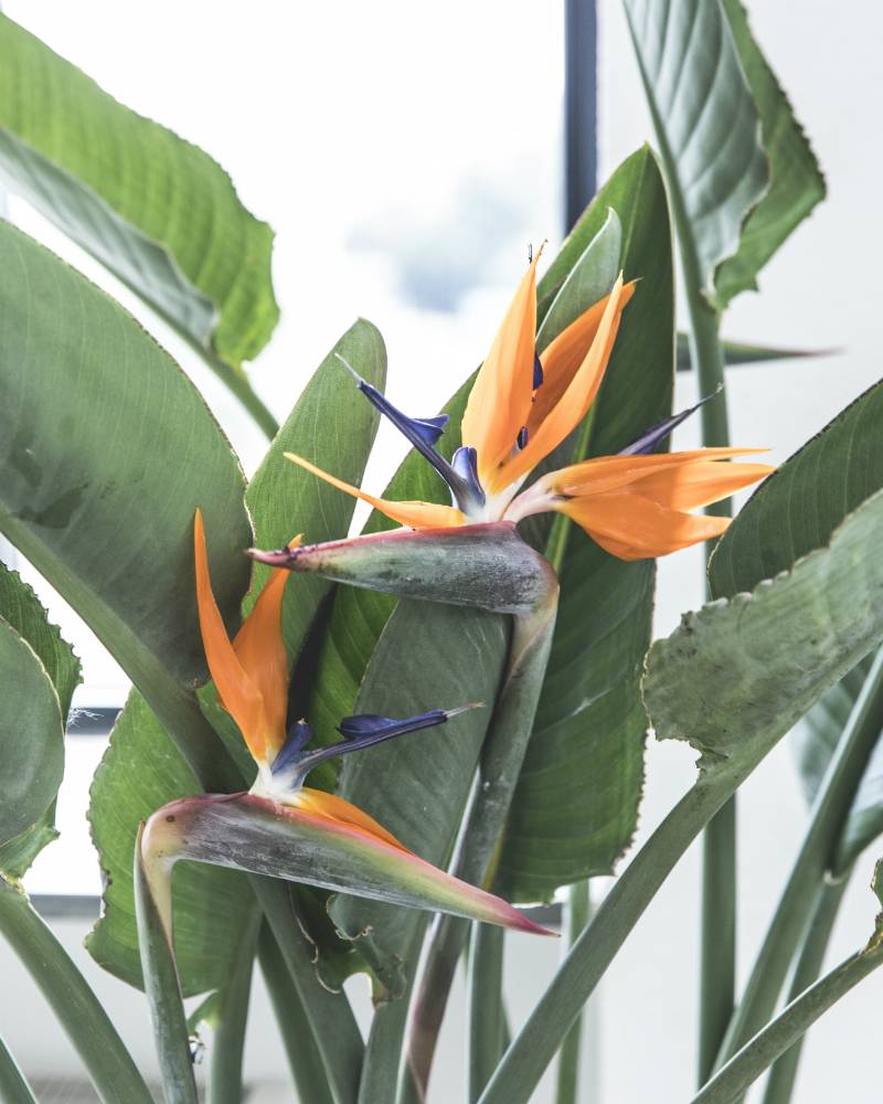 None - a59768a1-c3bd-4ce3-86b4-07082ba2f2cc