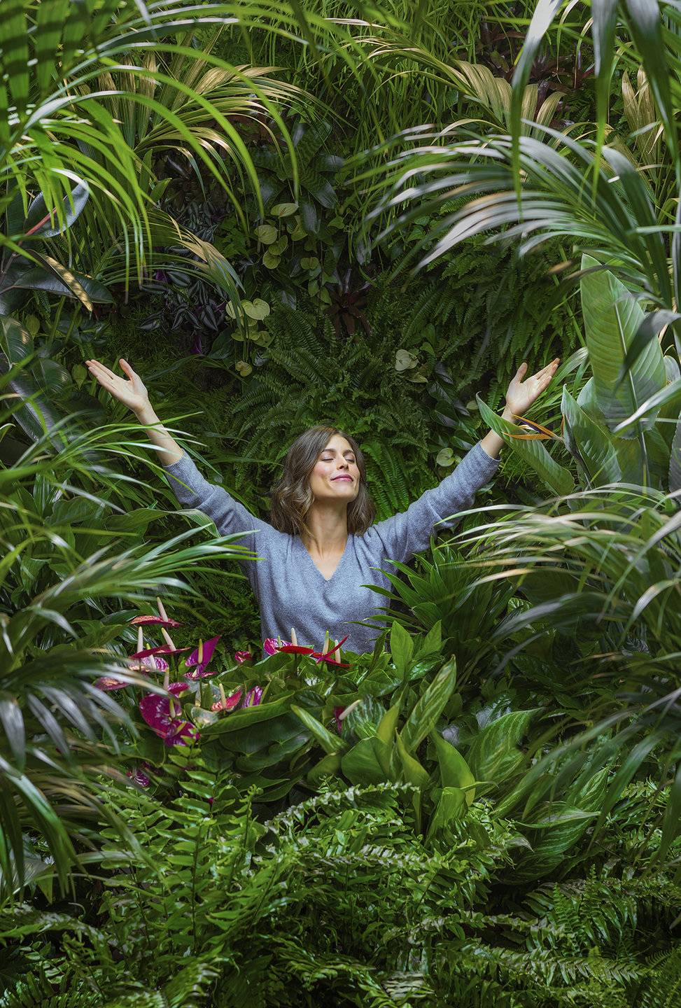 Shinrin-yoku bosbaden