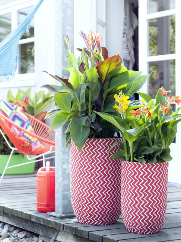 None - a833f7b4-6274-4260-8cb6-7155774d567b