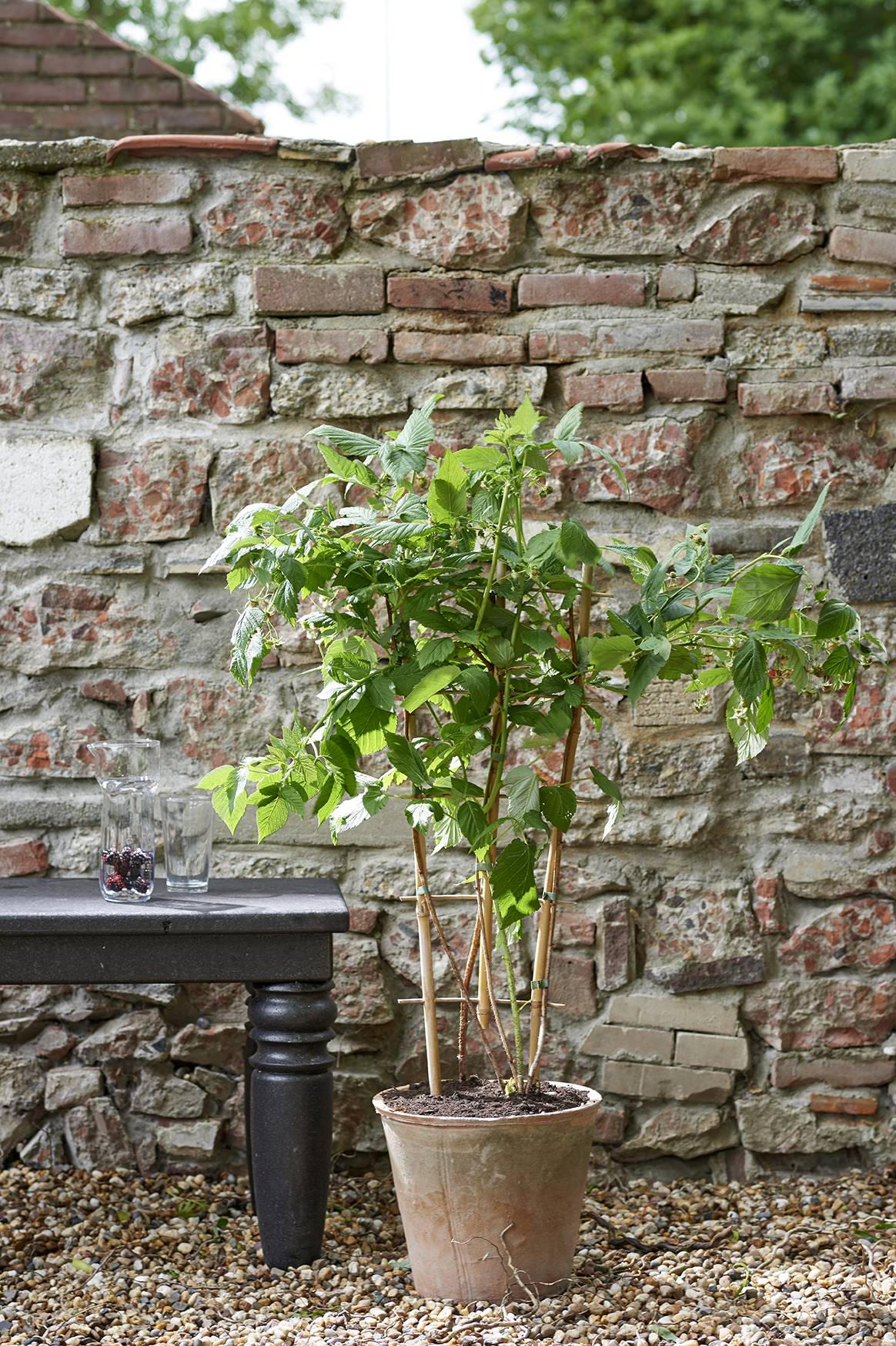 None - ad804813-c6fe-46c4-9d6b-ead67126fa32