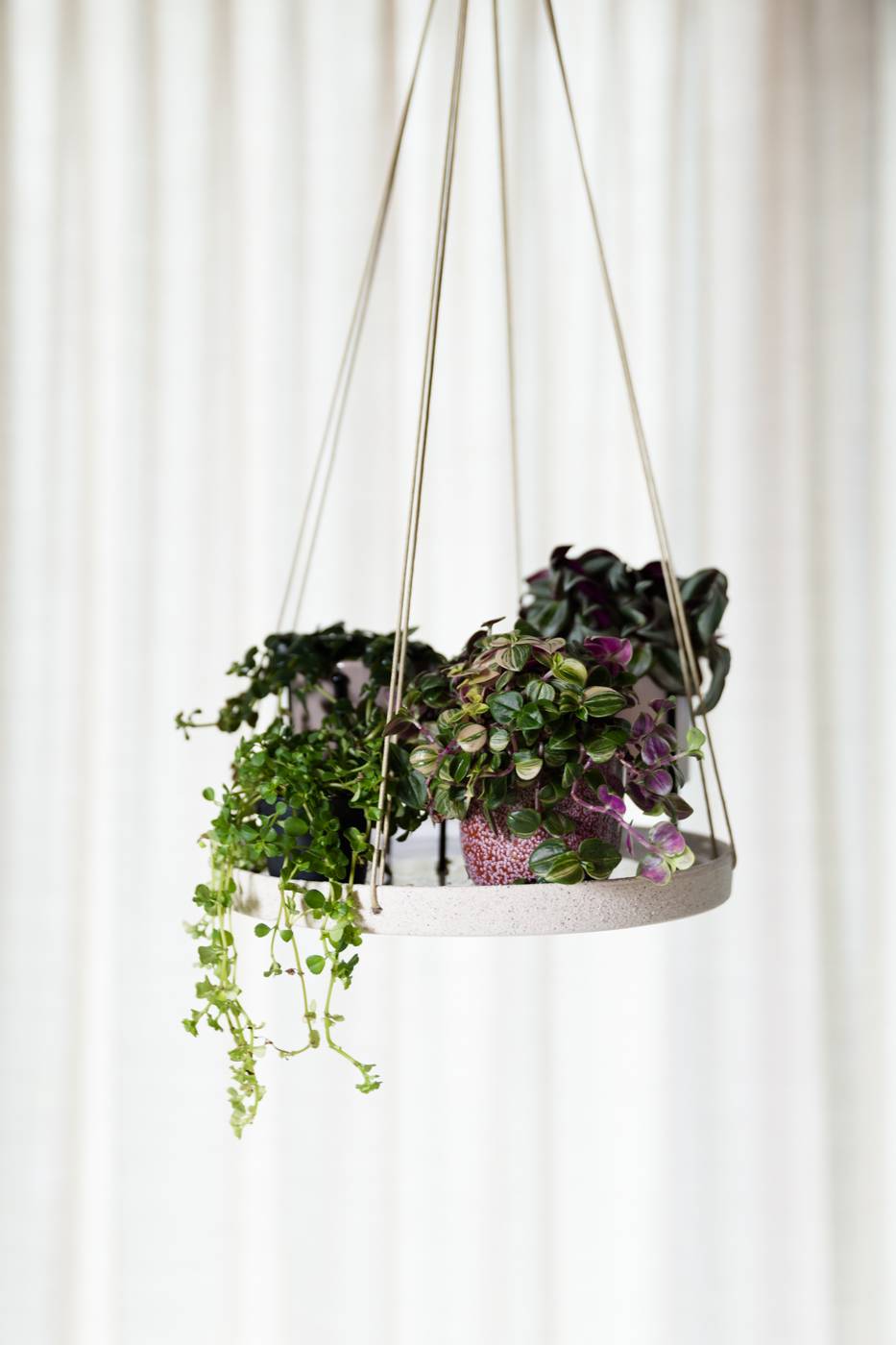 None - b58bd59b-7f48-4b2c-8c22-337b8824a143