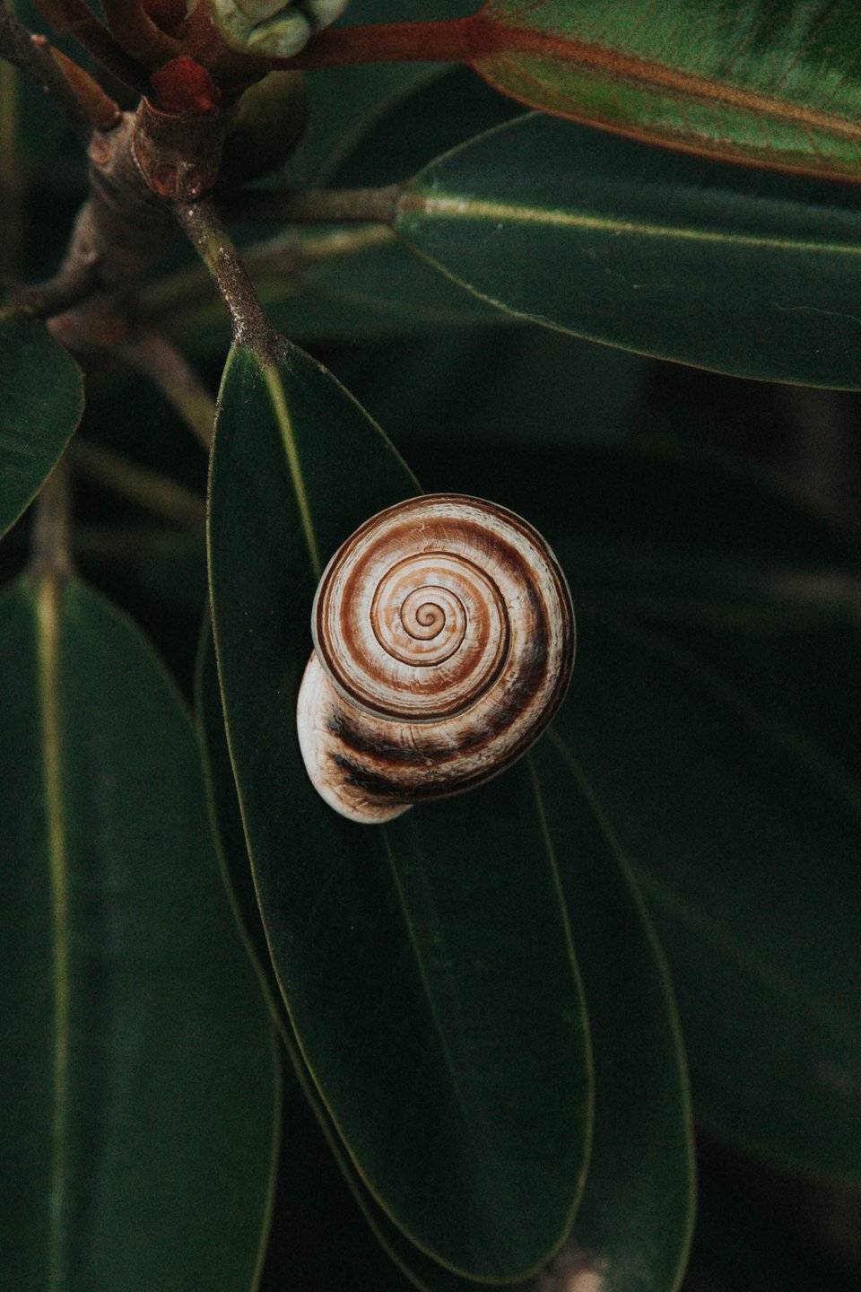 None - b79d306d-2ba8-4e30-8e5c-3a95402daaab