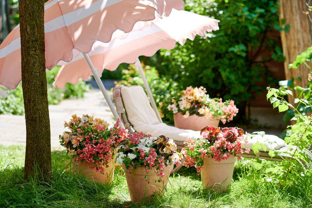 None - c694189a-0bcc-4568-8a09-996ada90d5ee