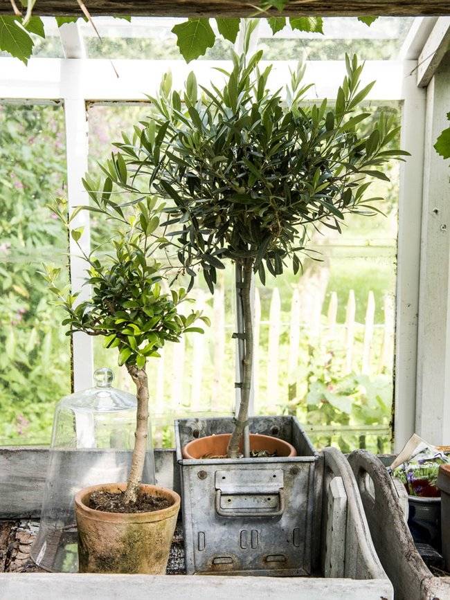 None - d20dd13d-7a13-4378-846a-b2c6be7ba4d2