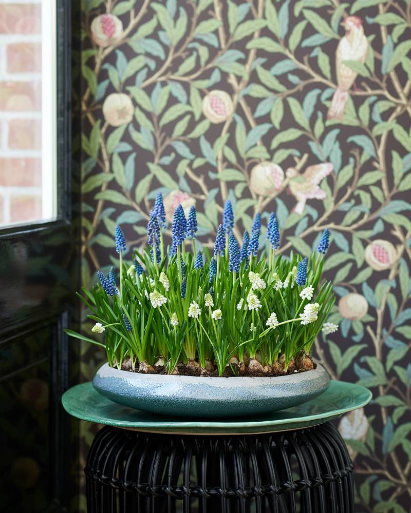 None - d7547c21-cc1d-4a2e-ad77-72ca9f86d6fe