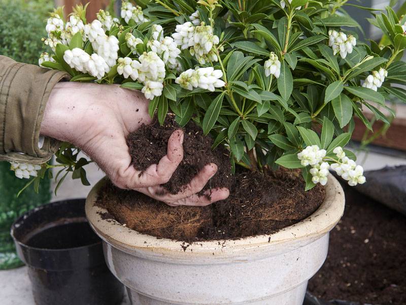 None - da12a515-c0b5-4a14-8b3a-fa23edb5ed8f