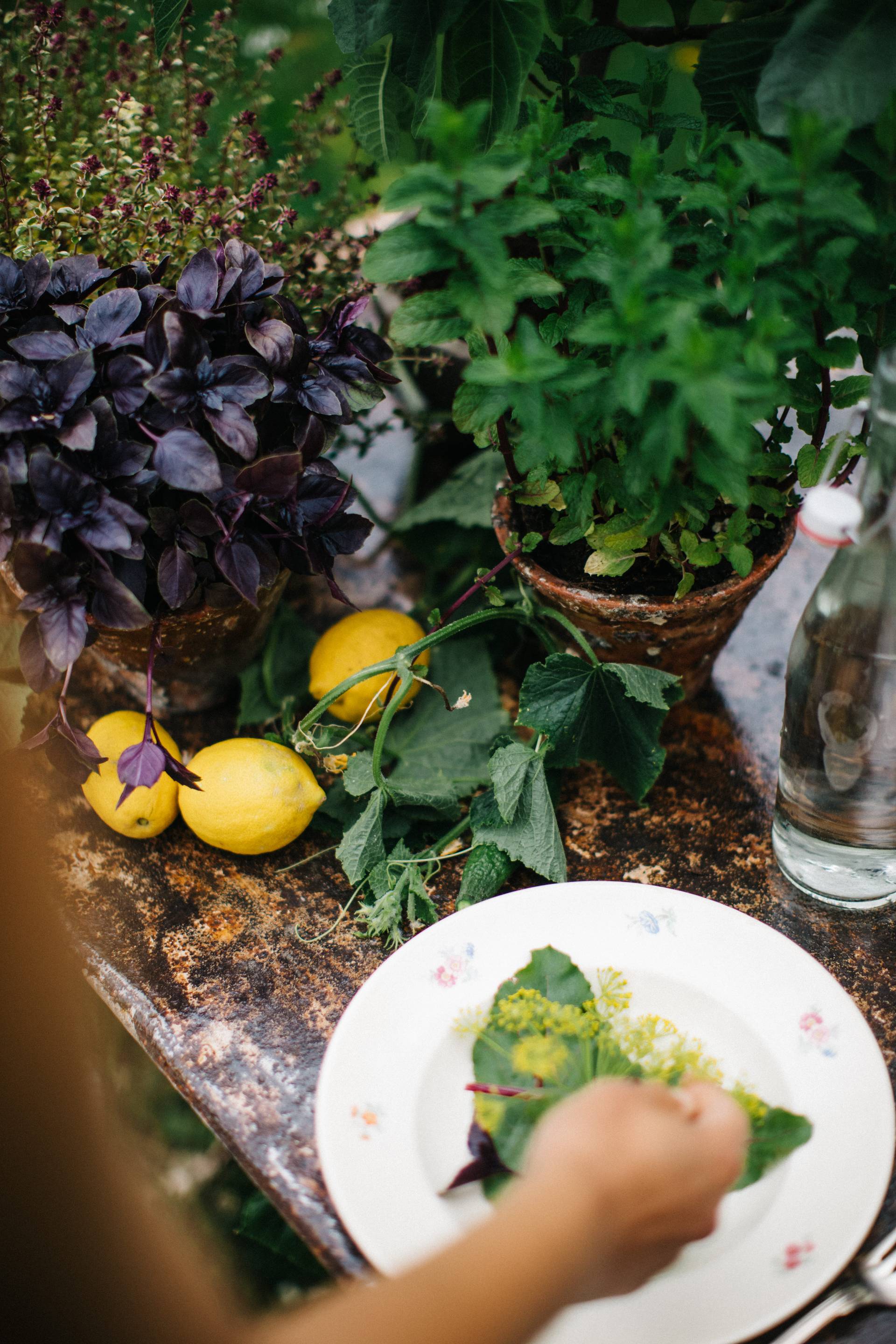 Zomer, kruiden op tafel