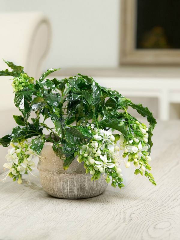 None - daf34aba-21c5-4691-b6ad-d316f1c4c5c1