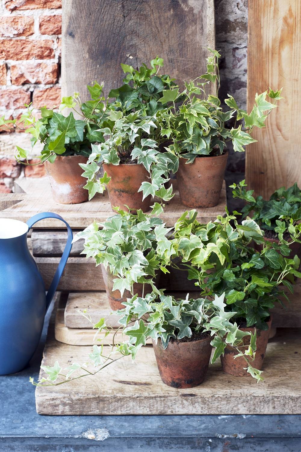 None - deebbf57-d8ac-44c7-8be5-9046d25d3782