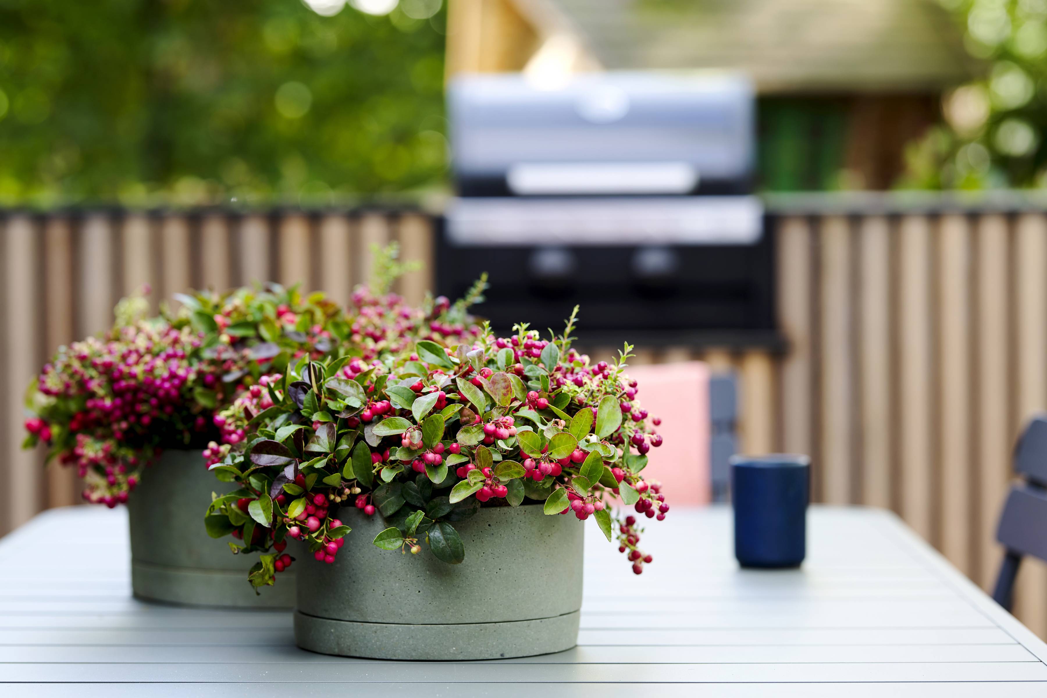 None - e0292ba6-1a4d-4856-9108-e0fd1fcd4e3d