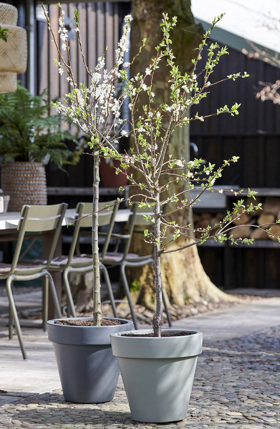 None - e170dc0a-4726-4d83-aedd-3c345cc8e6a2