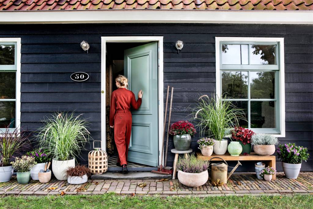 Huis met planten