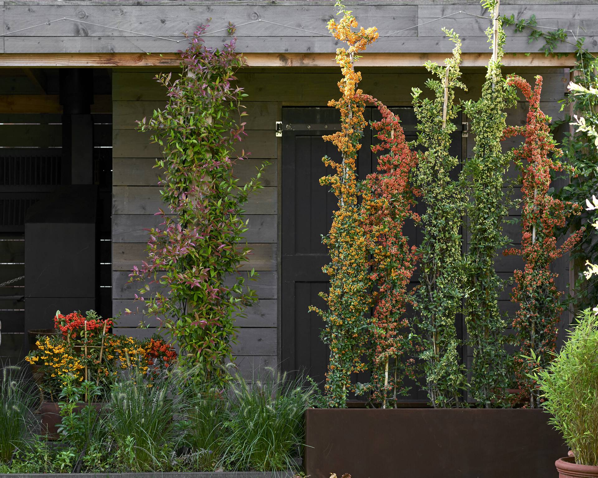 None - e437334e-addc-4114-bf2d-6a2652534719