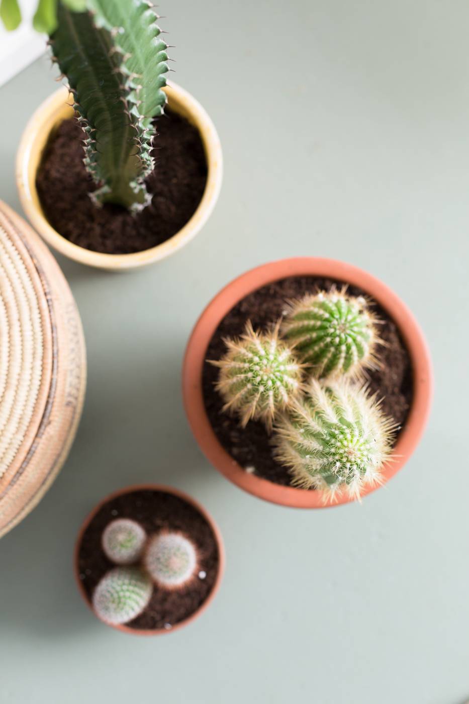 None - e719d5b1-ed46-483c-8482-c8b5bc36bad8