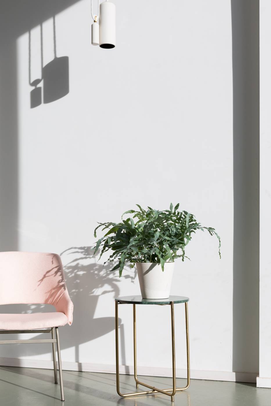 None - ee1ea236-07af-42b8-8e8f-526e7a2a20d4