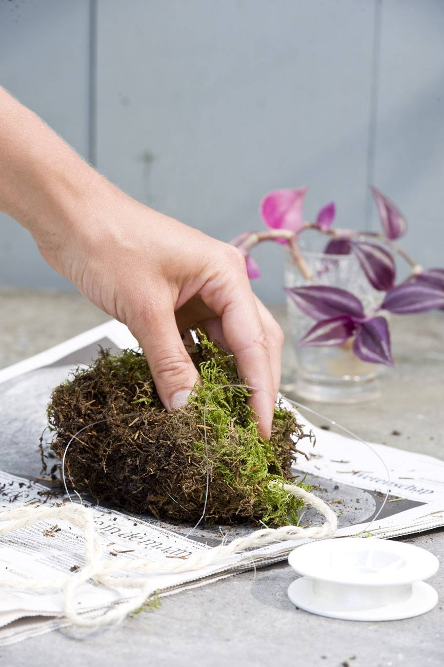 None - f470c725-81d1-4c56-8f02-048b457a4ac1