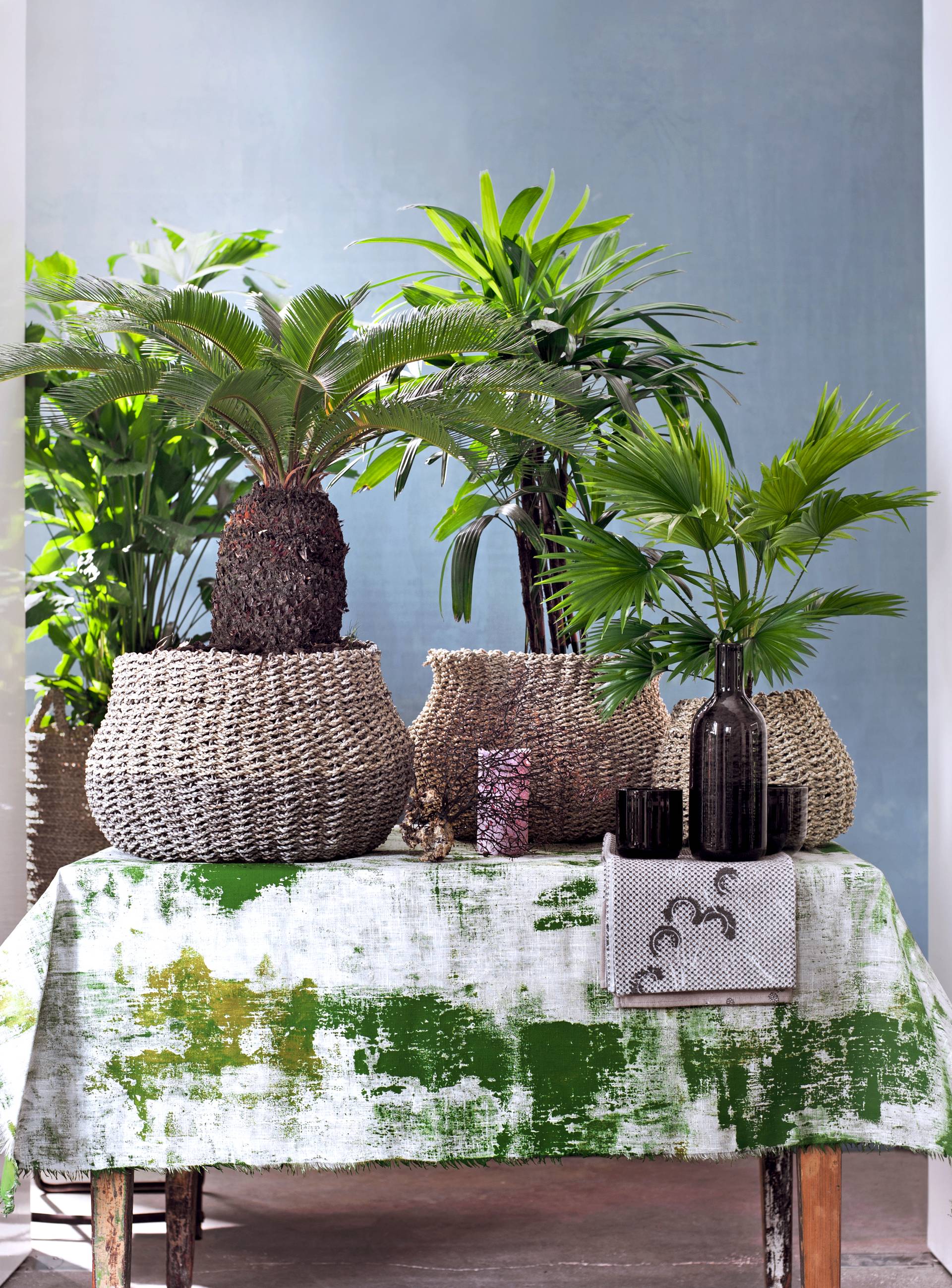 Tropische kamerplanten in gevlochten manden