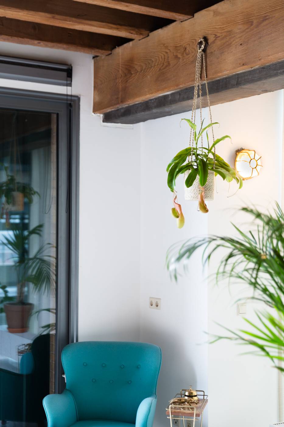 None - f9365ff1-406a-4aa1-bc00-0feea871b226