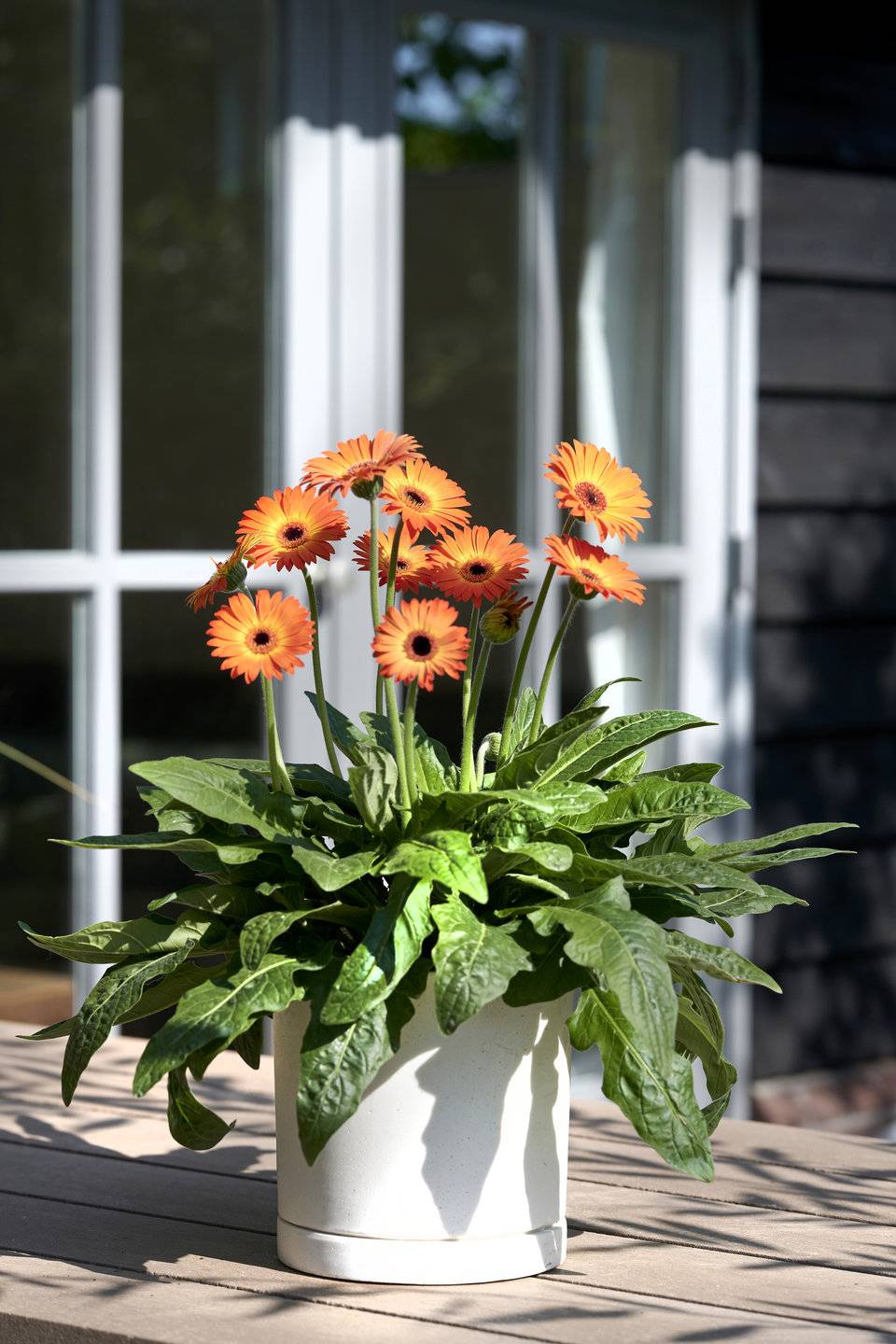 None - fdec9ca5-06ca-47b9-b232-c3f160d219ac