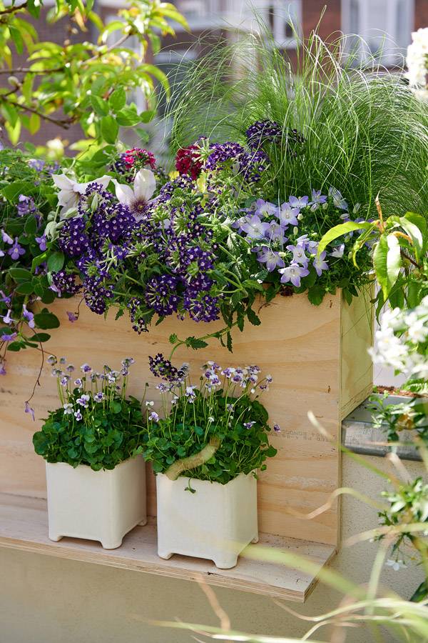 None - ffdfc9a2-8e3b-4120-97bd-dc7ff1455c3f