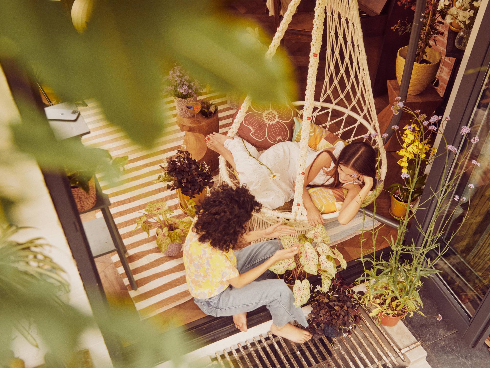Midsummer Bright& Breezy indoor border