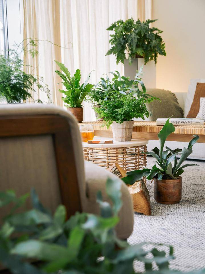 ONLINE_Cabin_1C9A6022