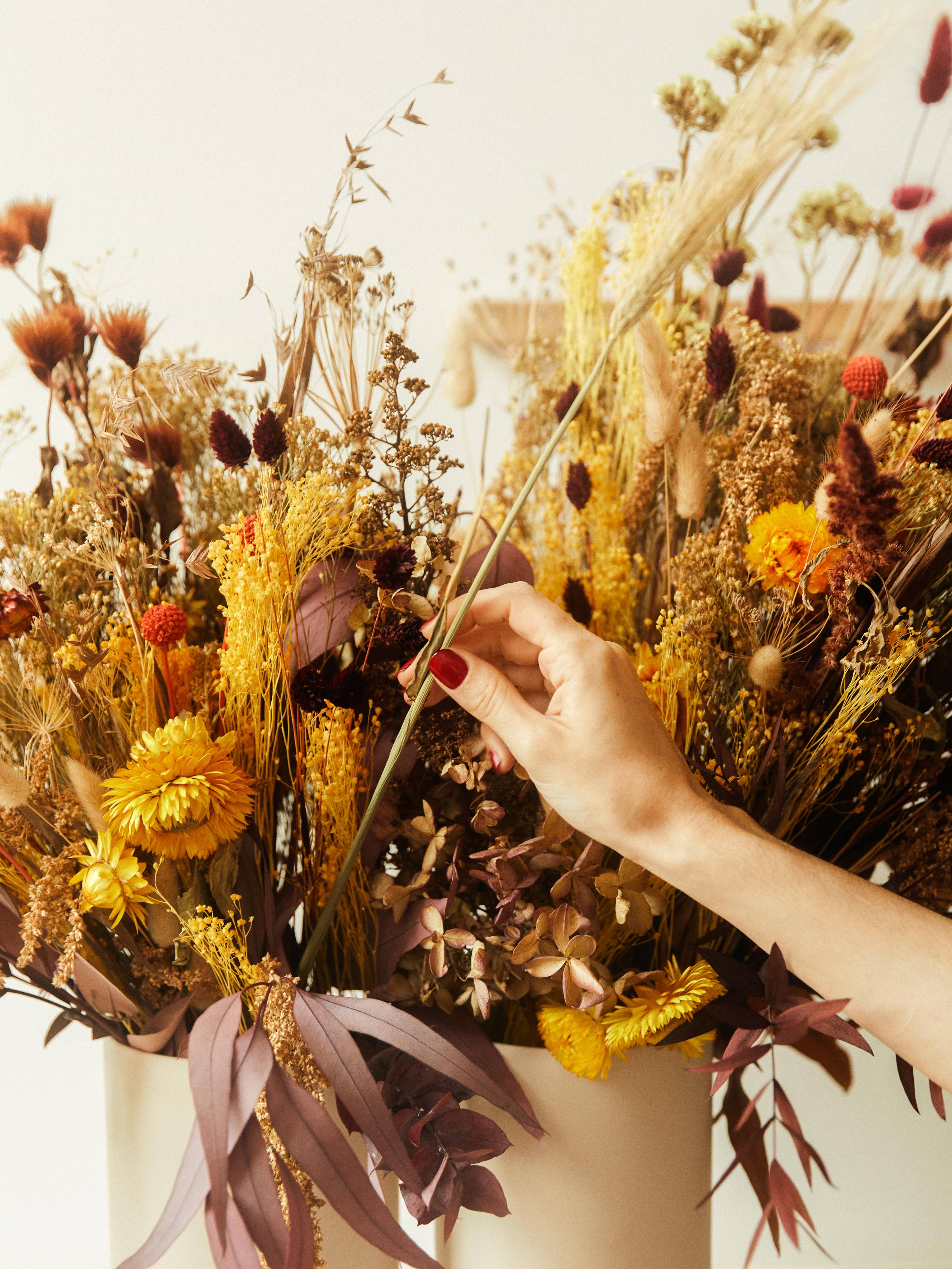 Close up droogboeket droogbloemen met hand van model