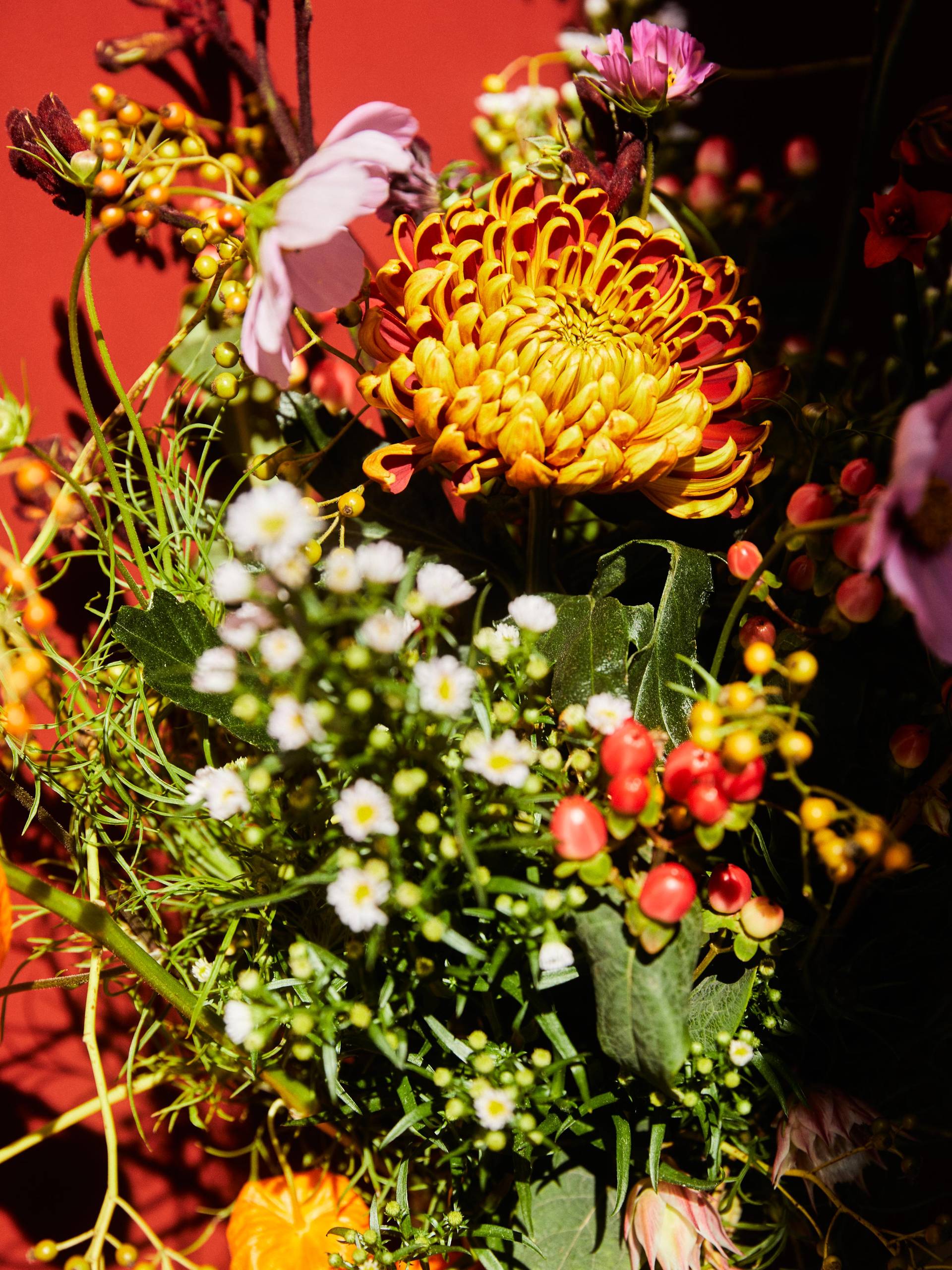 ONLINE_Moodbooster_C9A0434