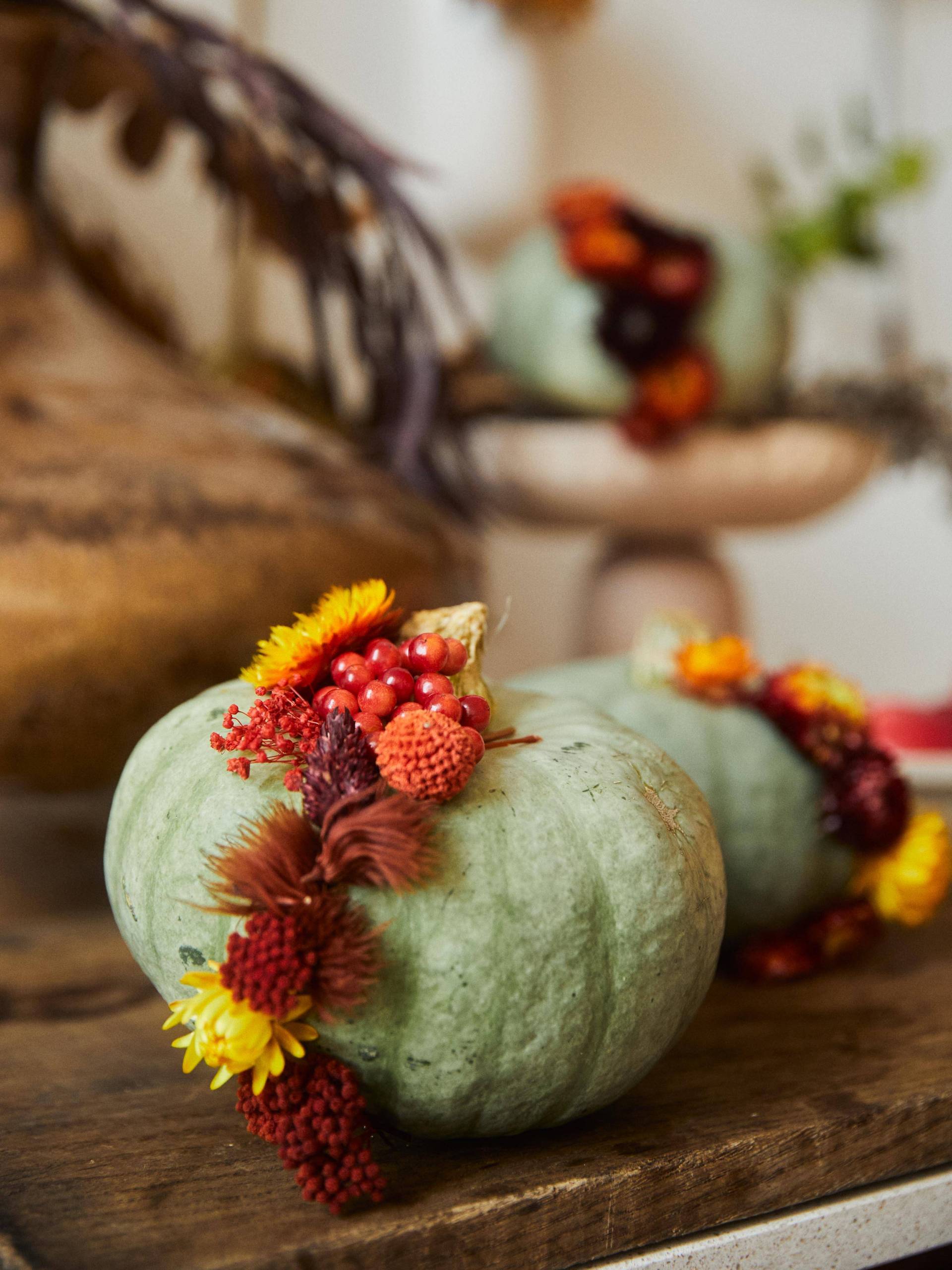 ONLINE_Pumpkin-Halloween_C9A0351.original