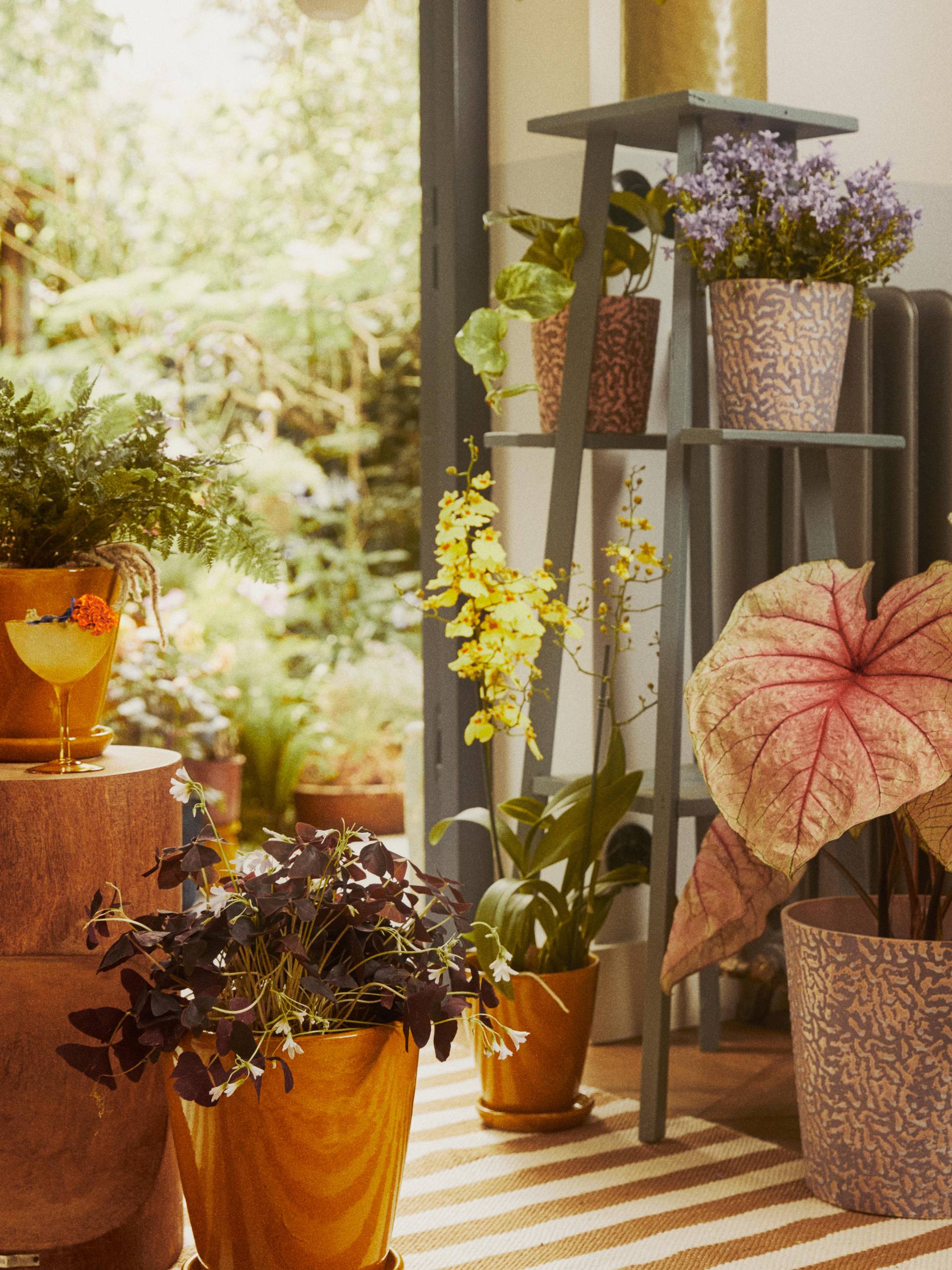 Binnentuin met de indoor border Bright & Breezy Midsummer