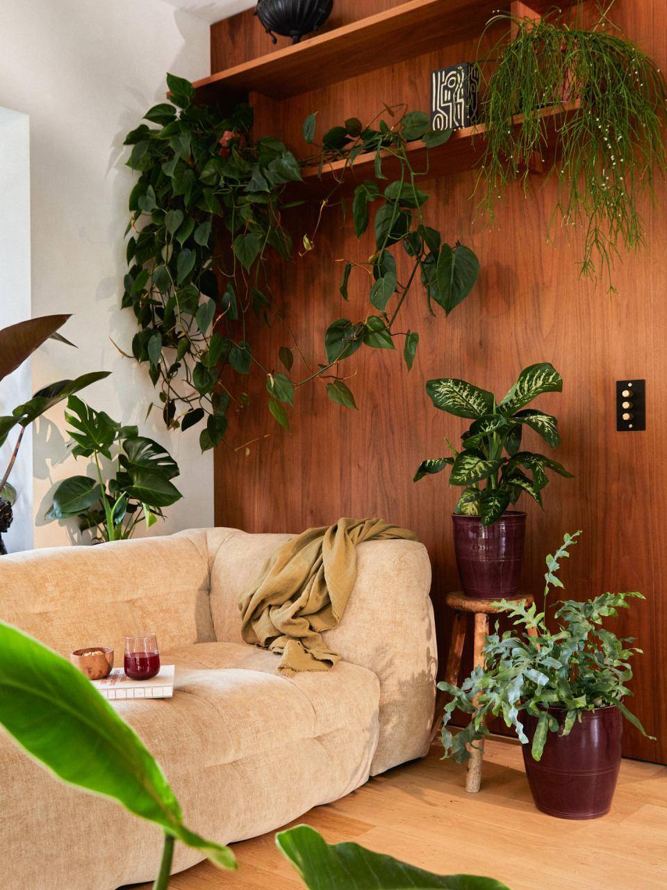 Online_BBH_20243586_Plant_corner_0.original