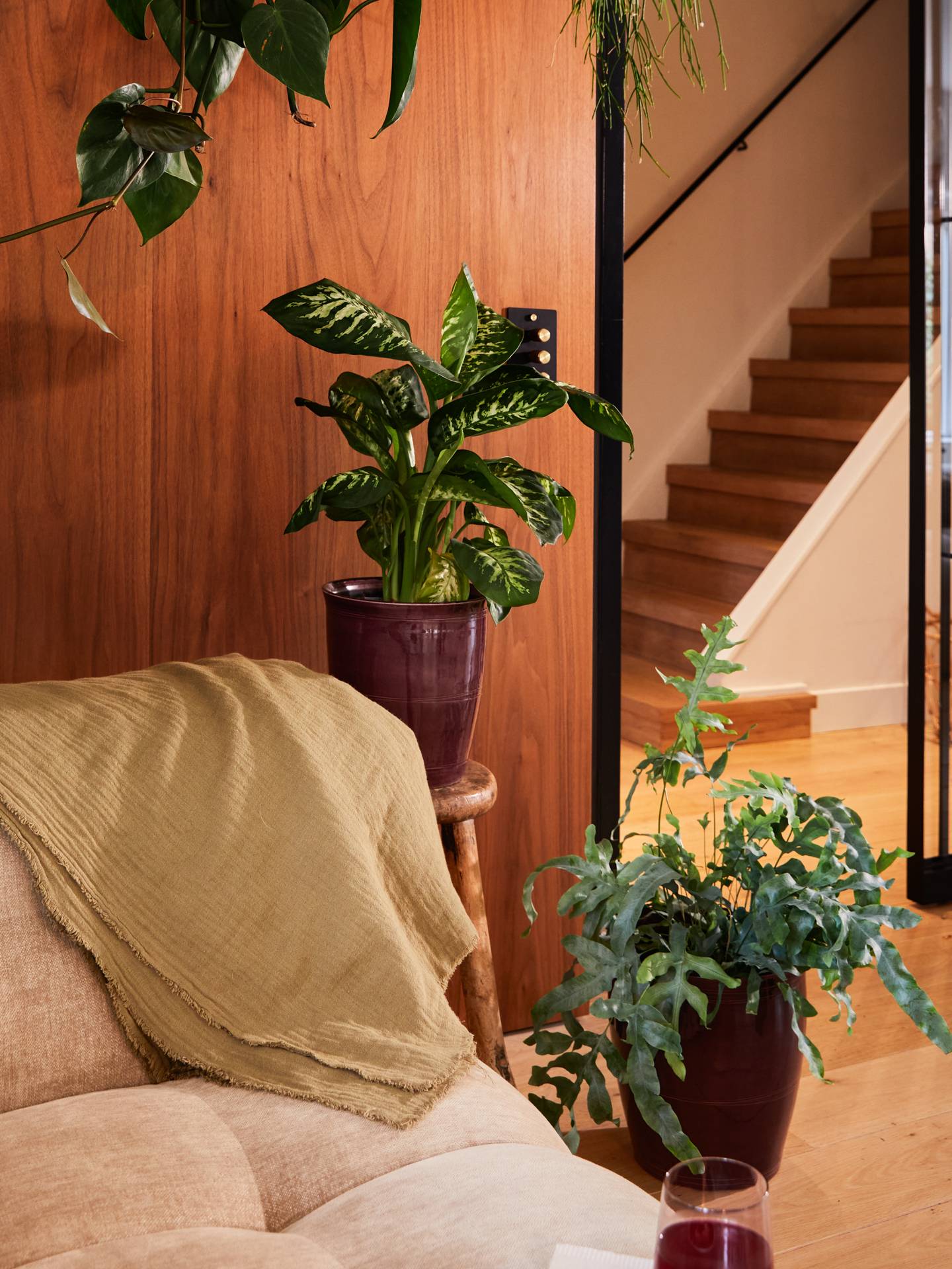 Online_BBH 20243594_Plant corner