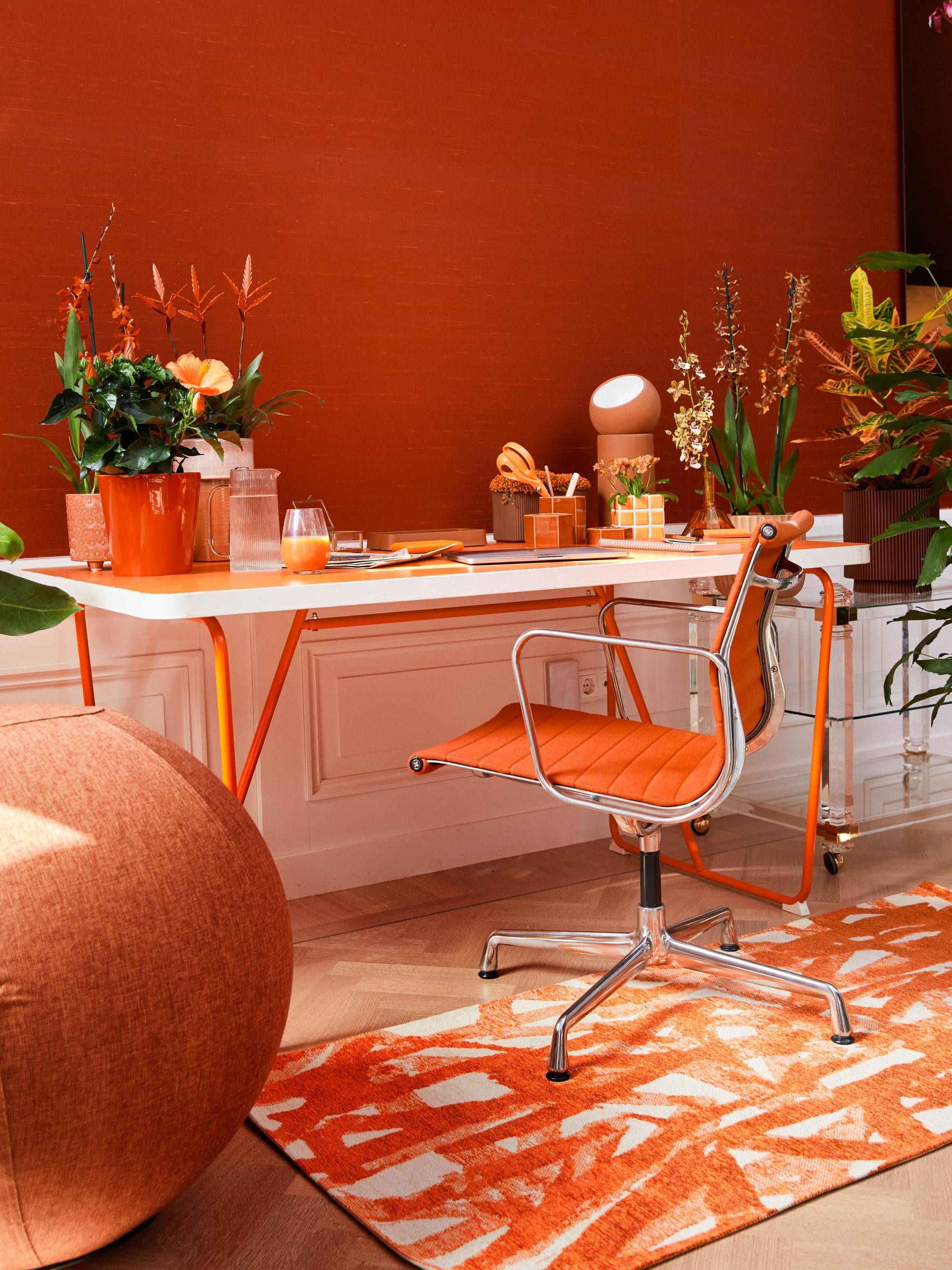 Online_Orange_0W6A0985.width-1920