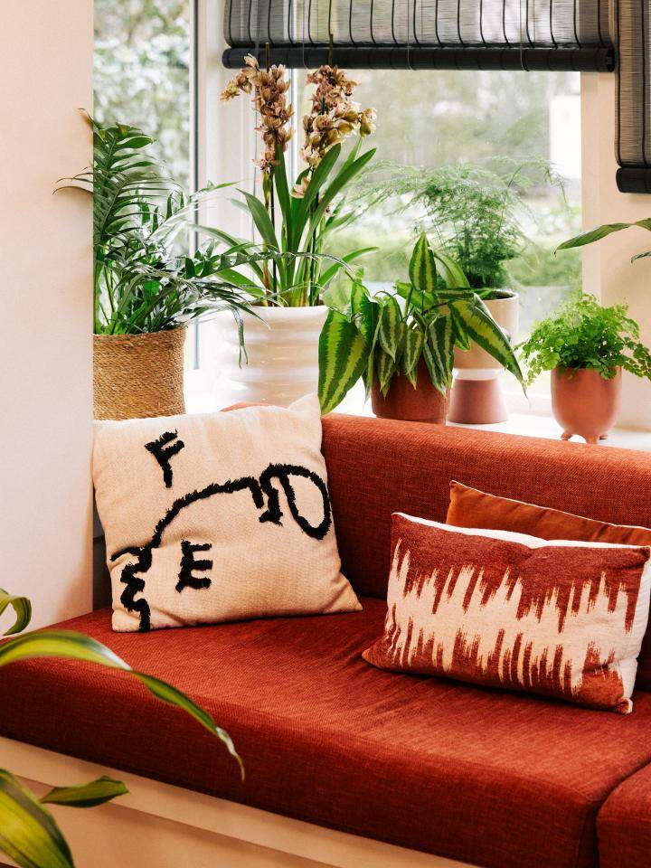 Online__W6A0592_Plant corner (1)