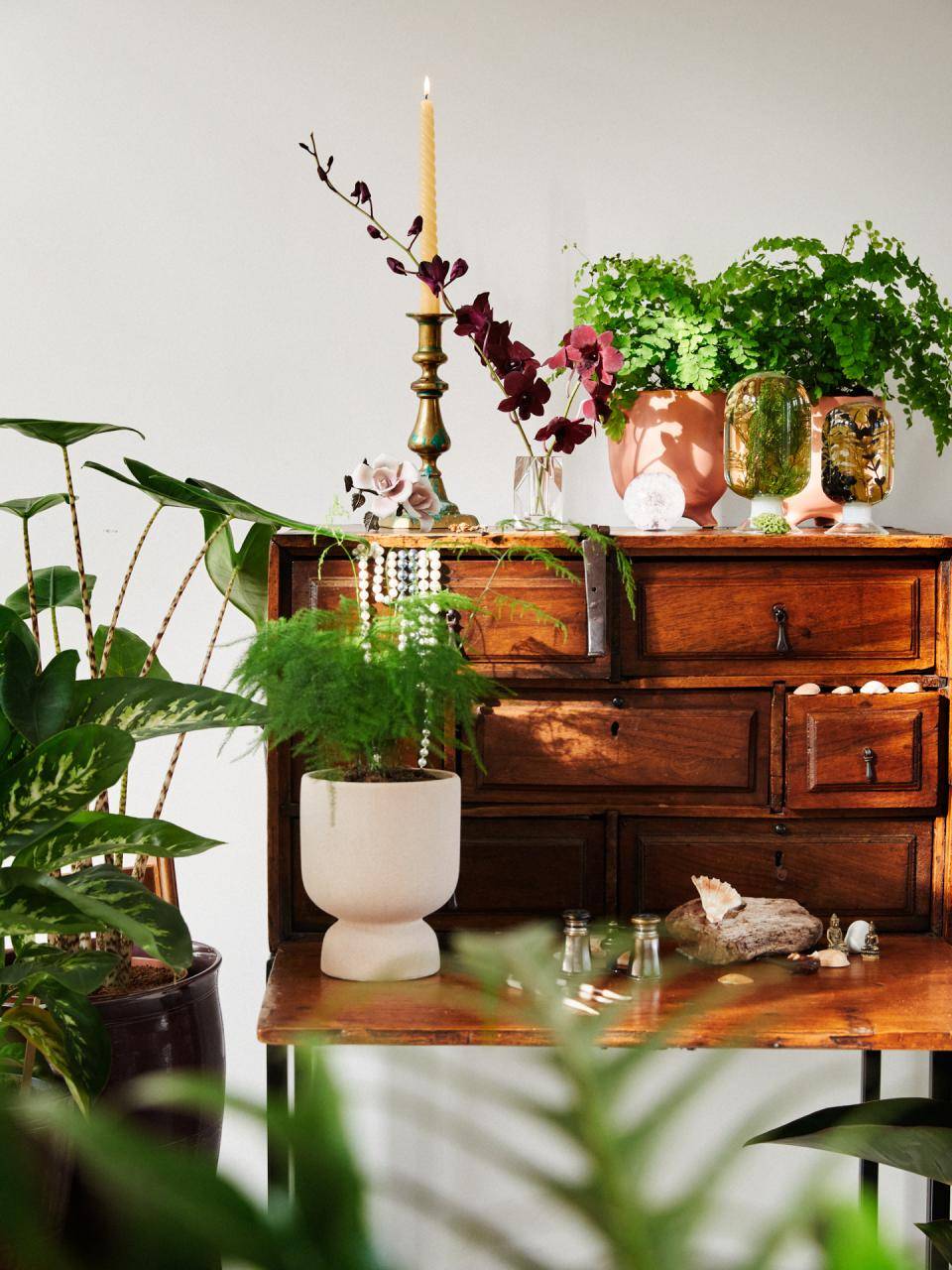 Online__W6A8746_Cabinet curiosity (1)