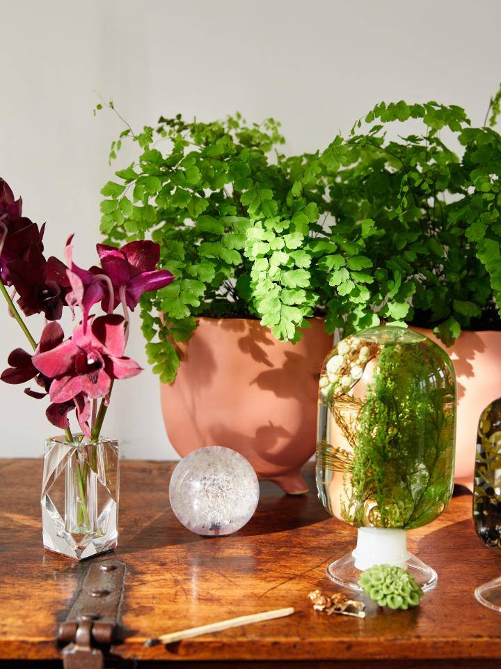 Online__W6A8770_Cabinet curiosity (1)