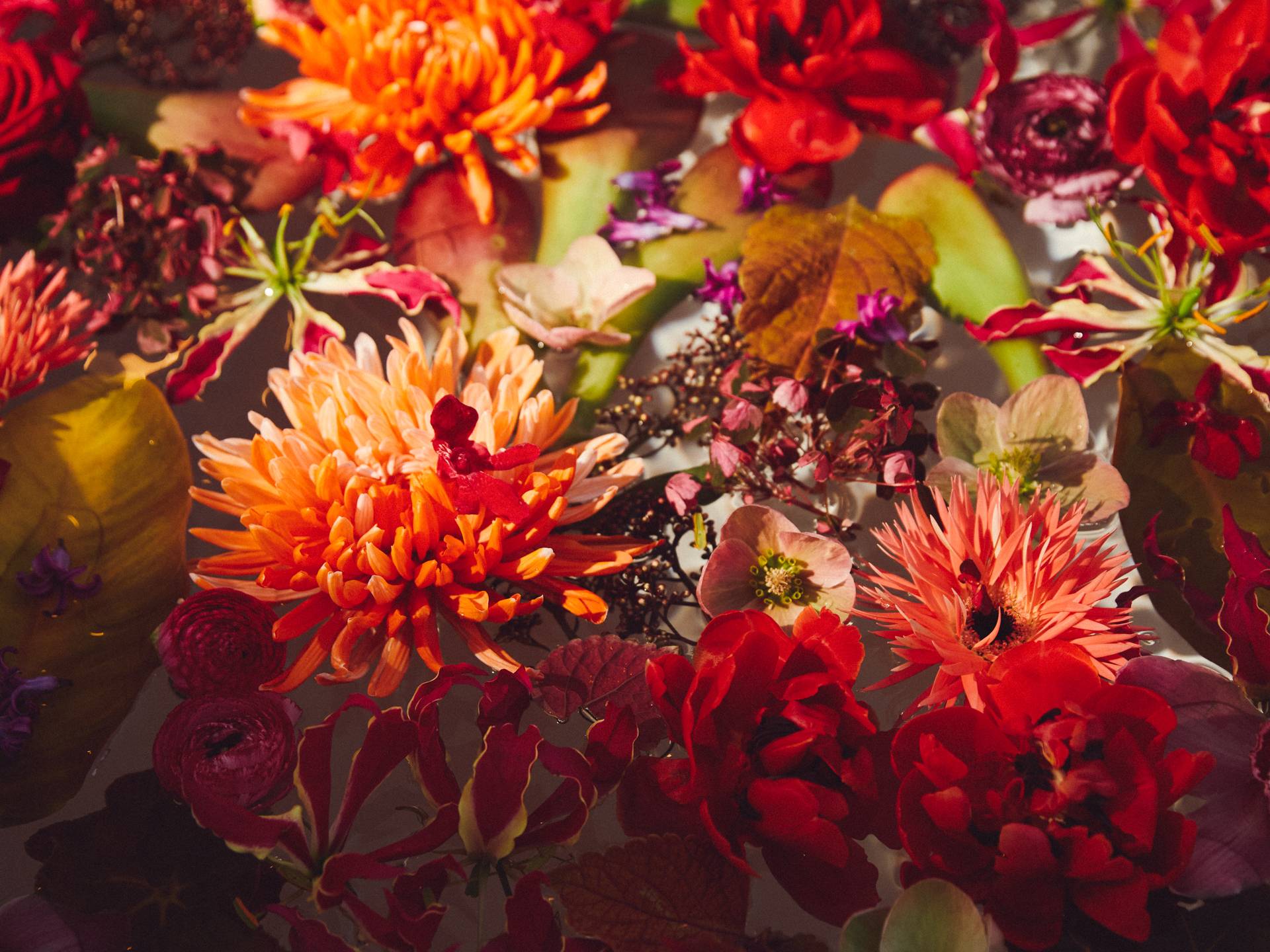 Online__W6A8894_Bath