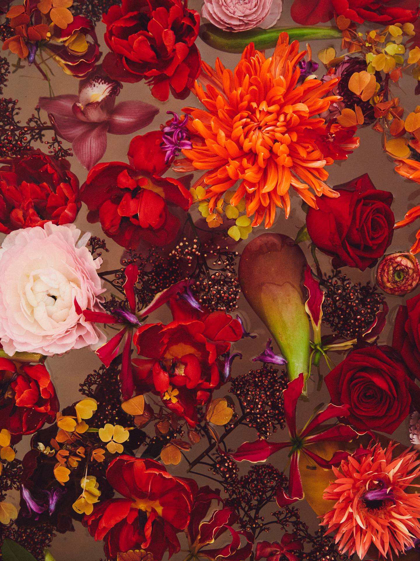 Online__W6A9196_Bath