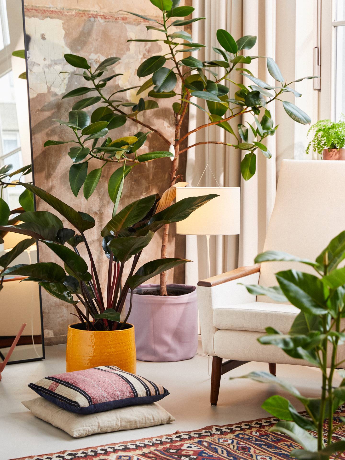 Online__W6A9292_Plant_corner.original