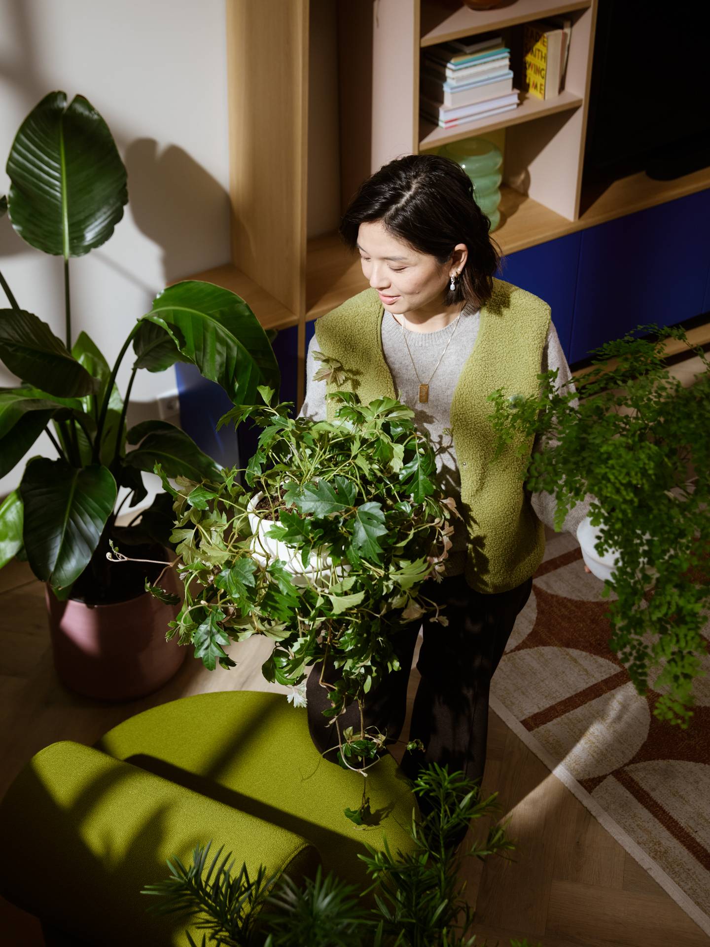 planten verpotten en verzorgen