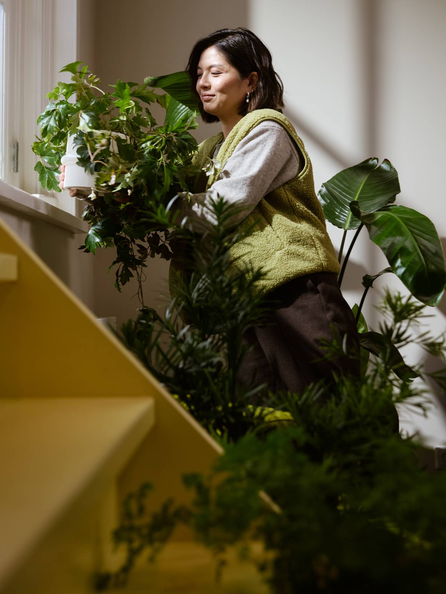 kamerplanten verzorgen