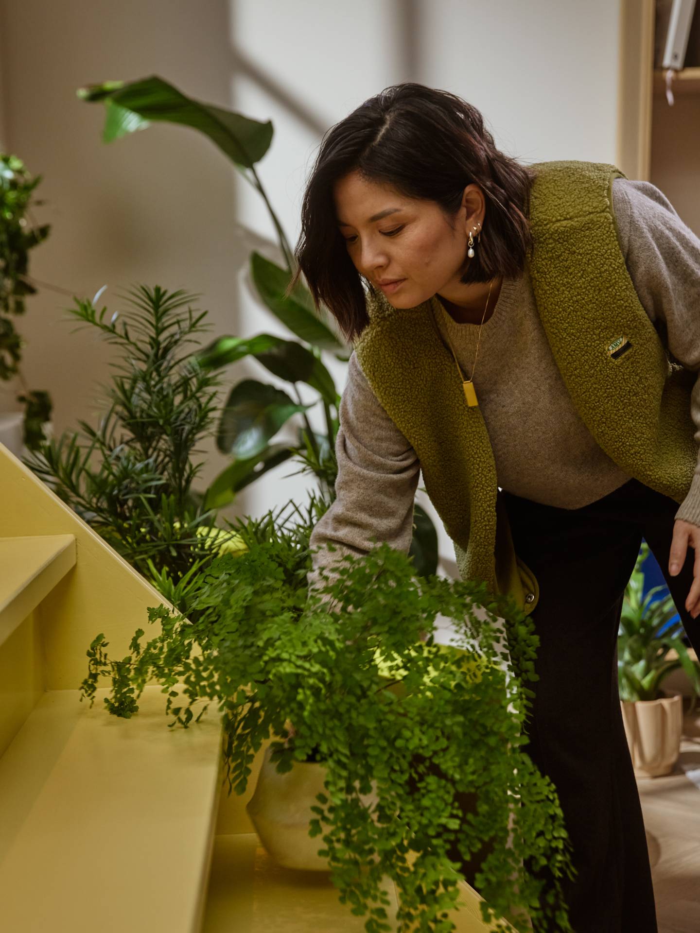 planten verzorgen