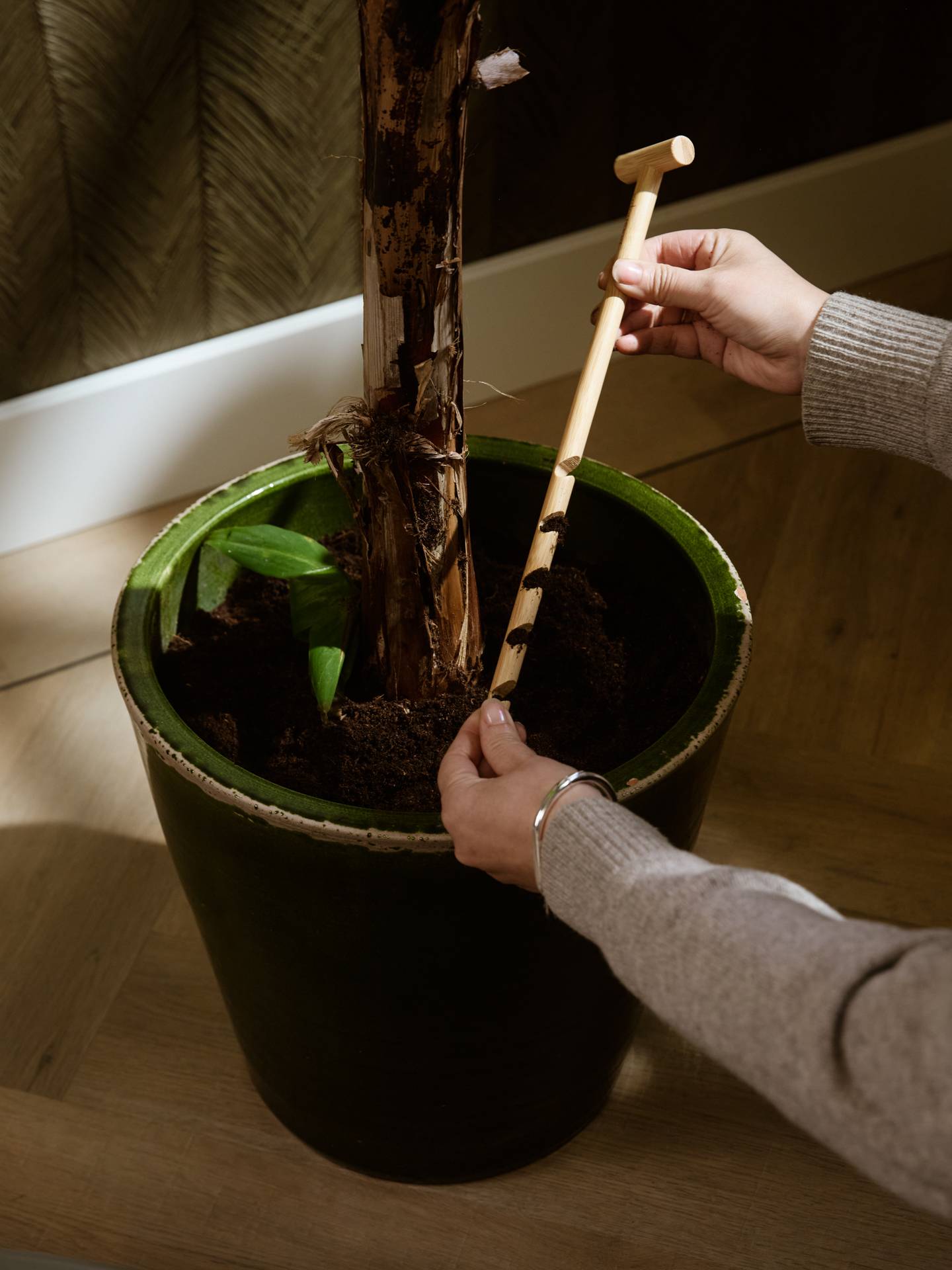 Plantcare__L7A5685-2