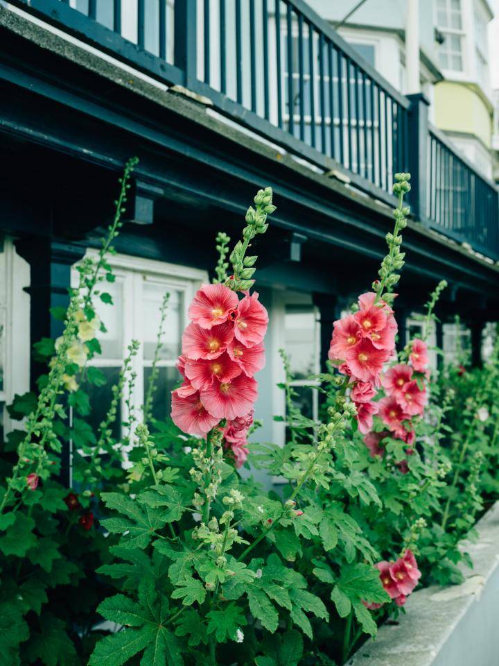 Stocksy_txpd4853e06OWx300_Medium_4021495