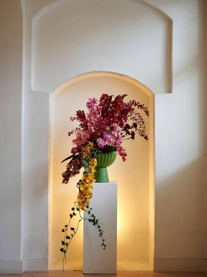 TC-AW22_PV_TS_flowers_Cymbidium_1_3a_MED